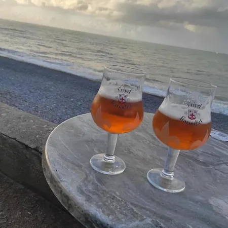 Hyper Centre Parking Indigo Inclus A 50m Dieppe